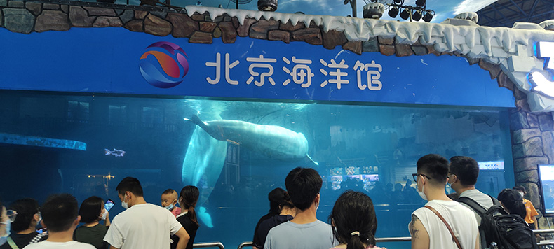 我司助力北京海洋馆数字化运维